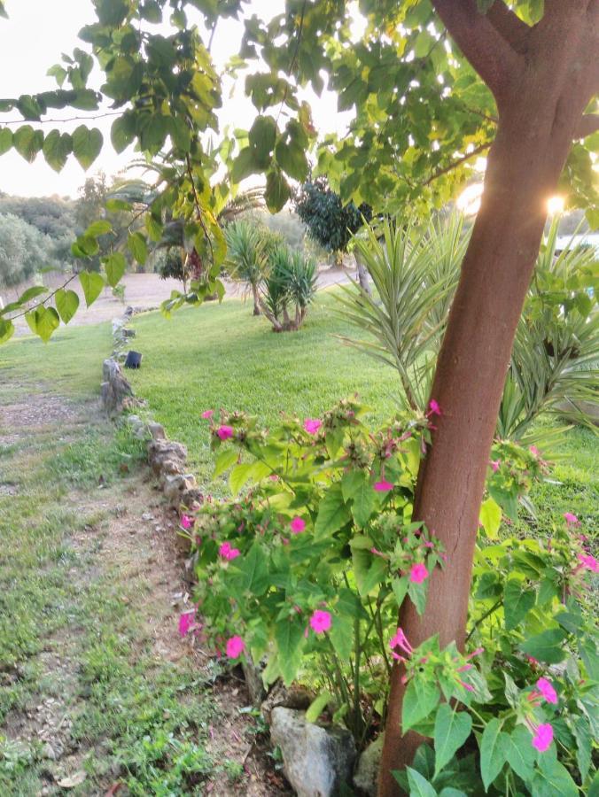 Quinta Da Perdiz Country House Villa Santarém Eksteriør bilde
