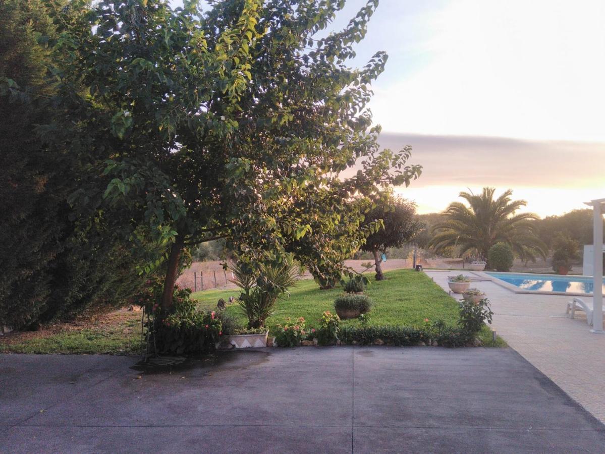 Quinta Da Perdiz Country House Villa Santarém Eksteriør bilde
